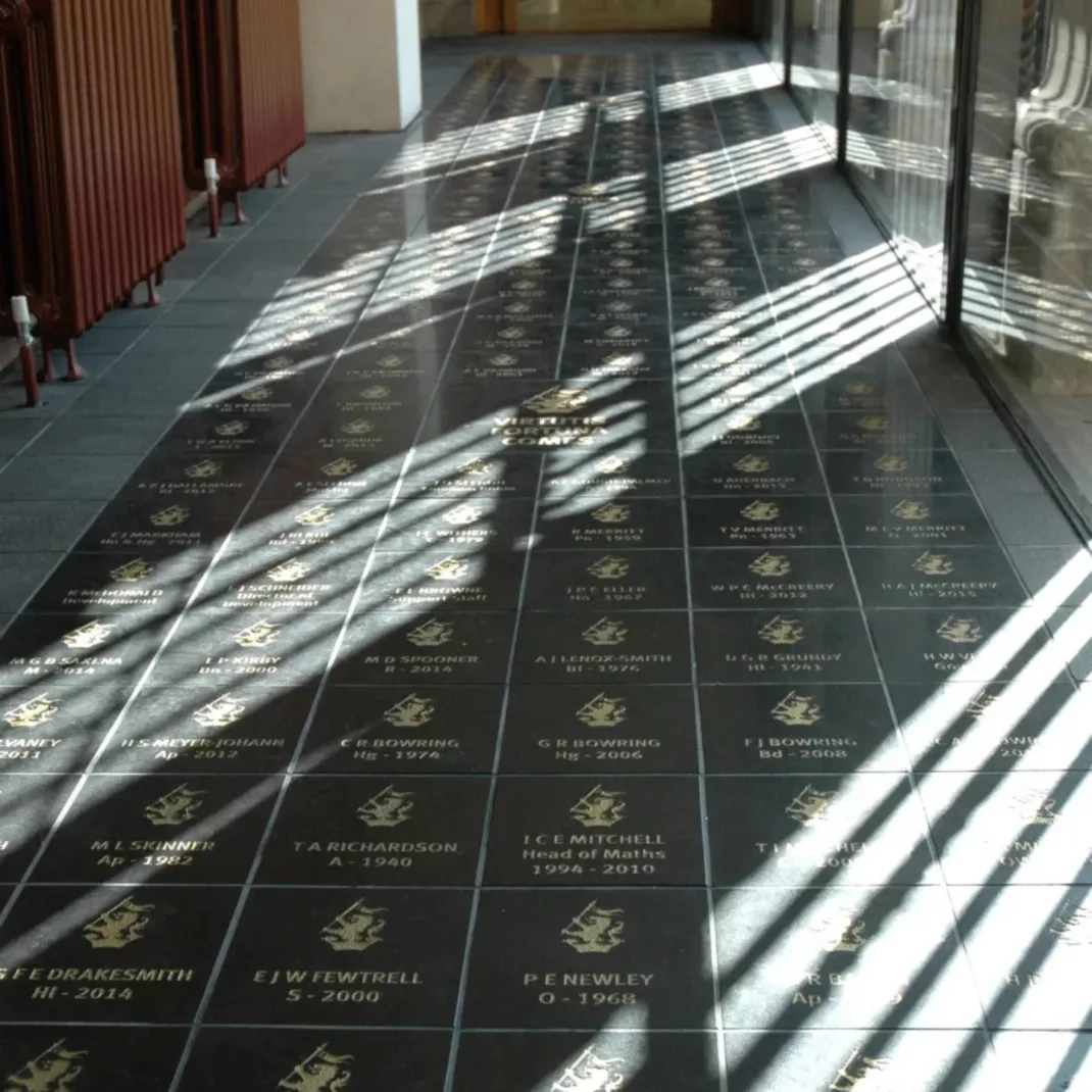 Wellington library floor