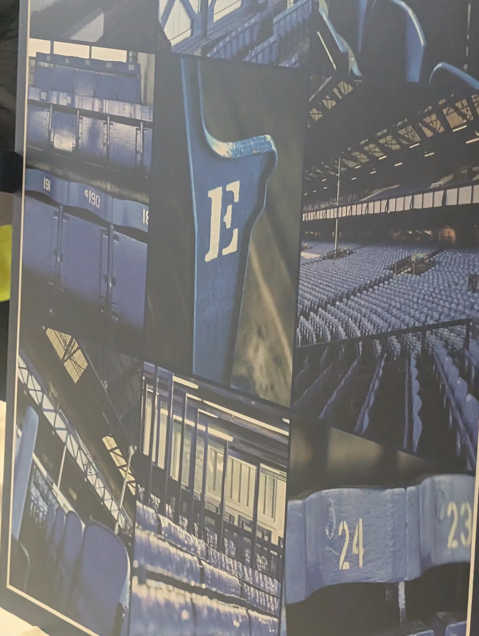 Goodison seats